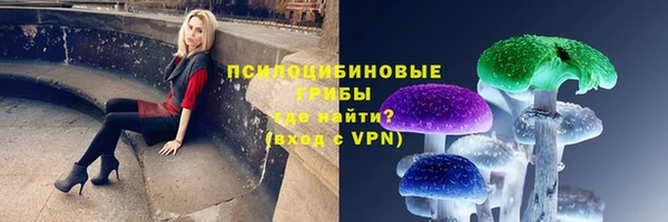 индика Абдулино
